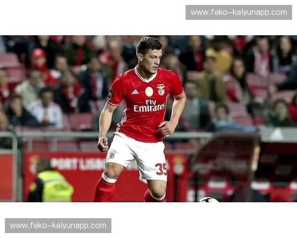 直播葡超:畅享葡萄牙足球的每一刻 直播葡超:畅享葡萄牙足球的每一刻