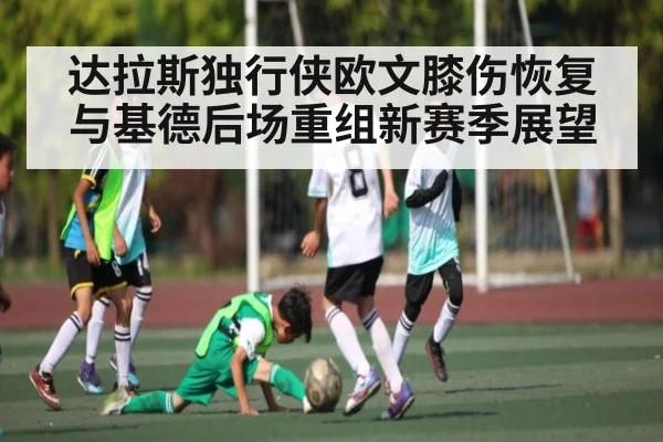 达拉斯独行侠欧文膝伤恢复与基德后场重组新赛季展望